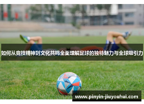 如何从竞技精神到文化共鸣全面理解足球的独特魅力与全球吸引力