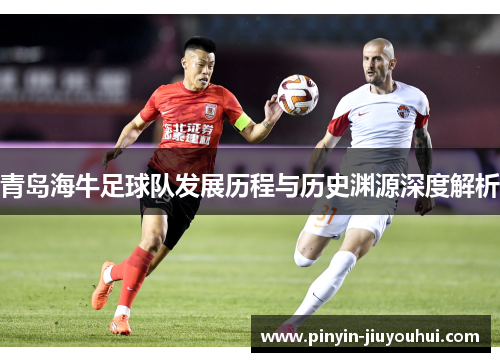 青岛海牛足球队发展历程与历史渊源深度解析