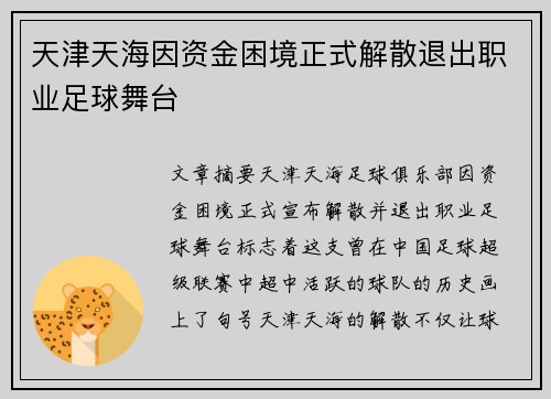 天津天海因资金困境正式解散退出职业足球舞台