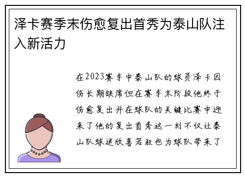 泽卡赛季末伤愈复出首秀为泰山队注入新活力
